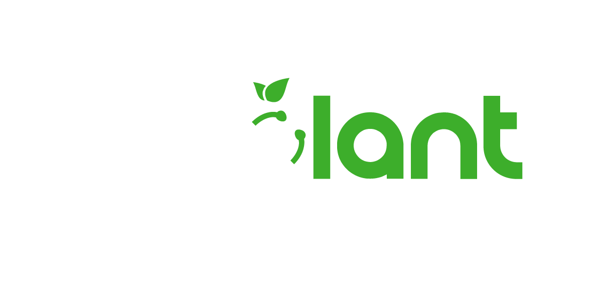 Dr. Plant